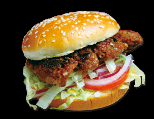 Turkish Kofte Lamb Burger